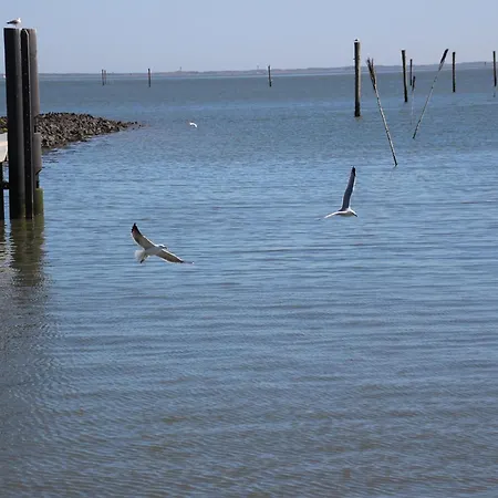 Mit Sonnenterrasse In 多纳莫塞尔