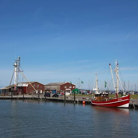 Mit Sonnenterrasse In 公寓 *