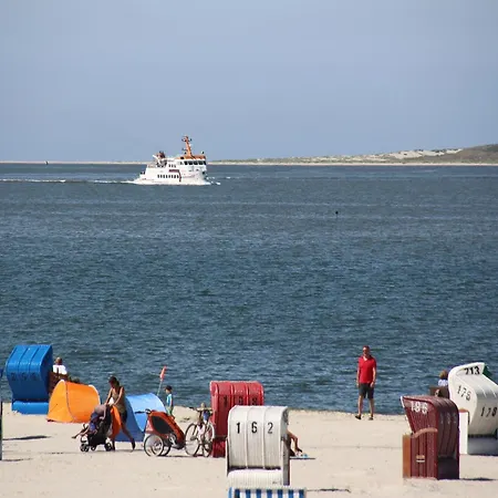 Mit Sonnenterrasse In Apartament