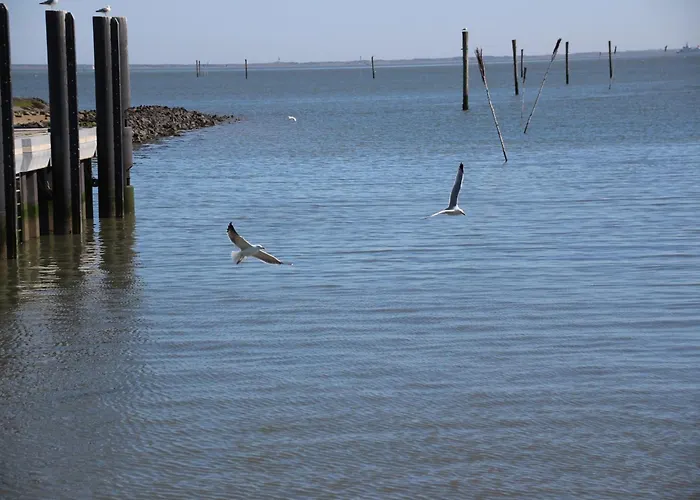 Mit Sonnenterrasse In 多纳莫塞尔